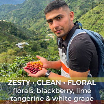 Colombia Finca La Manoa Geisha Double Washed